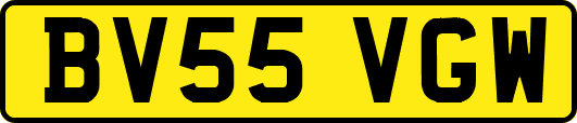 BV55VGW