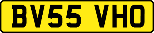 BV55VHO