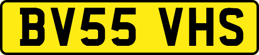 BV55VHS