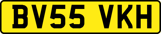 BV55VKH
