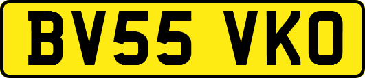 BV55VKO