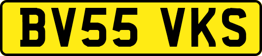 BV55VKS