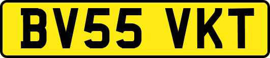 BV55VKT