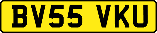 BV55VKU