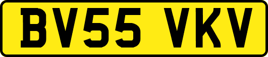 BV55VKV