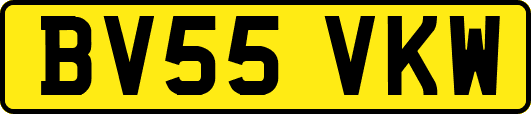 BV55VKW