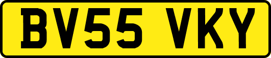 BV55VKY