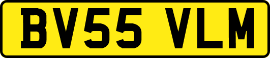 BV55VLM