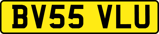 BV55VLU