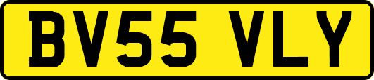 BV55VLY