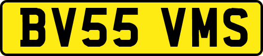 BV55VMS