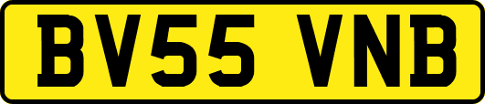 BV55VNB