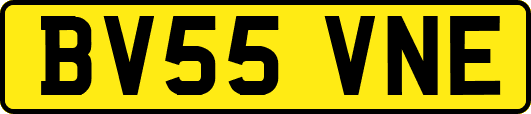 BV55VNE
