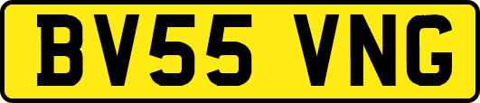 BV55VNG