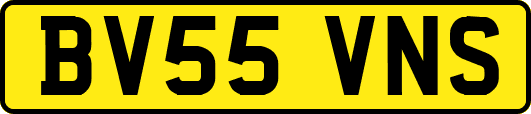 BV55VNS
