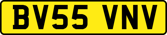 BV55VNV
