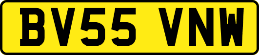 BV55VNW