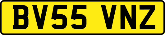 BV55VNZ