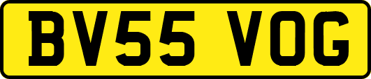 BV55VOG