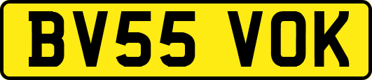 BV55VOK