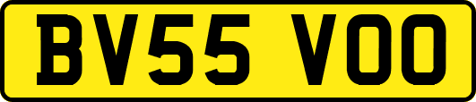 BV55VOO