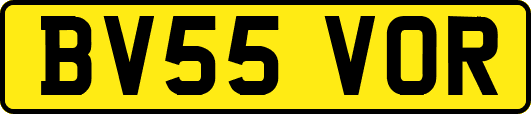 BV55VOR