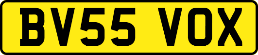 BV55VOX