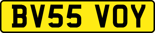 BV55VOY