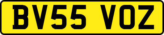 BV55VOZ