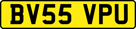 BV55VPU