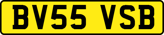 BV55VSB
