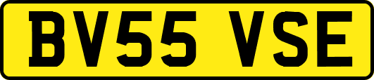 BV55VSE