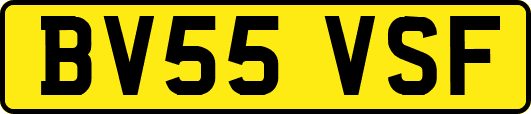 BV55VSF