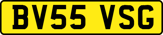 BV55VSG