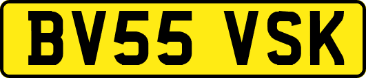 BV55VSK