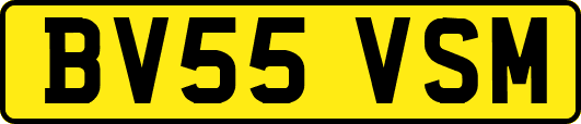 BV55VSM