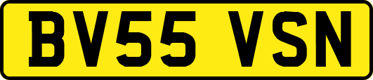 BV55VSN