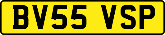 BV55VSP