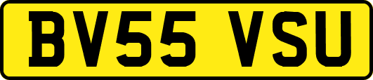 BV55VSU