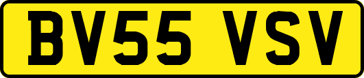 BV55VSV