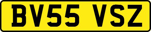 BV55VSZ