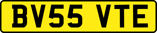 BV55VTE