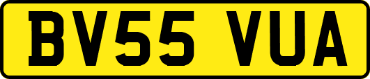 BV55VUA