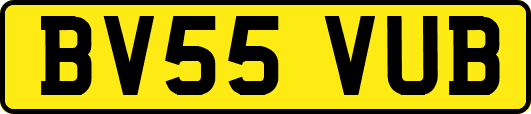 BV55VUB