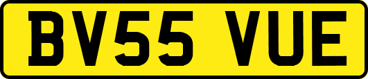 BV55VUE
