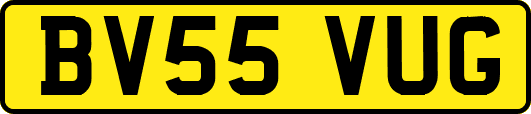 BV55VUG