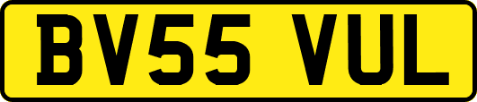 BV55VUL