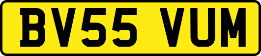 BV55VUM