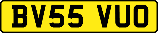 BV55VUO