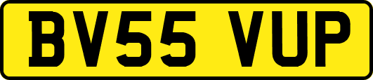 BV55VUP